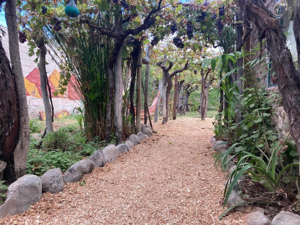 Casa Prana Estudio De Yoga Pansiyon Cafayate Dış mekan fotoğraf