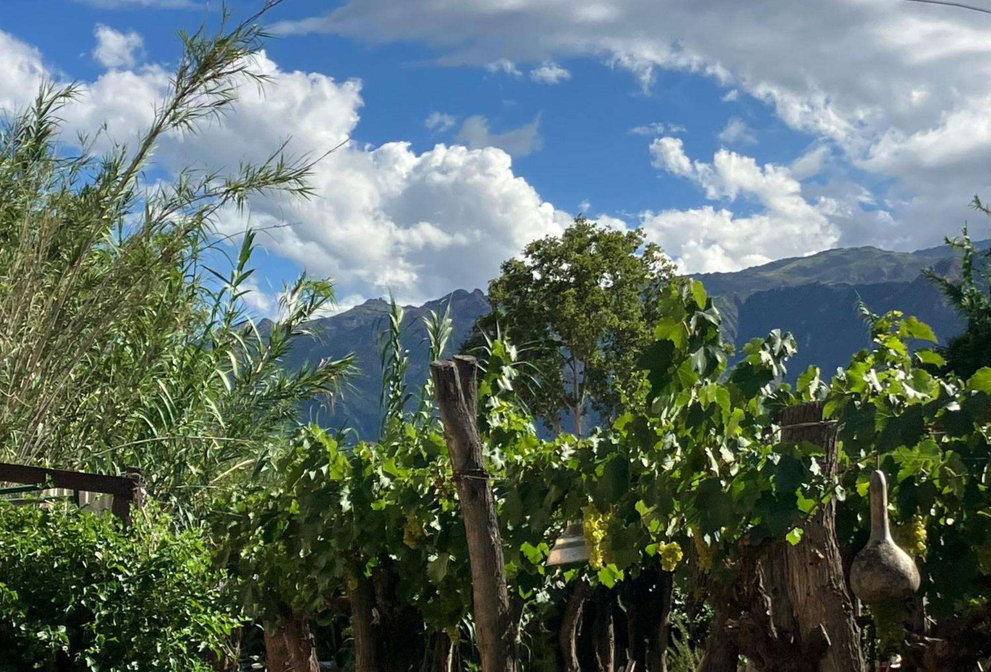 Casa Prana Estudio De Yoga Cafayate Dış mekan fotoğraf